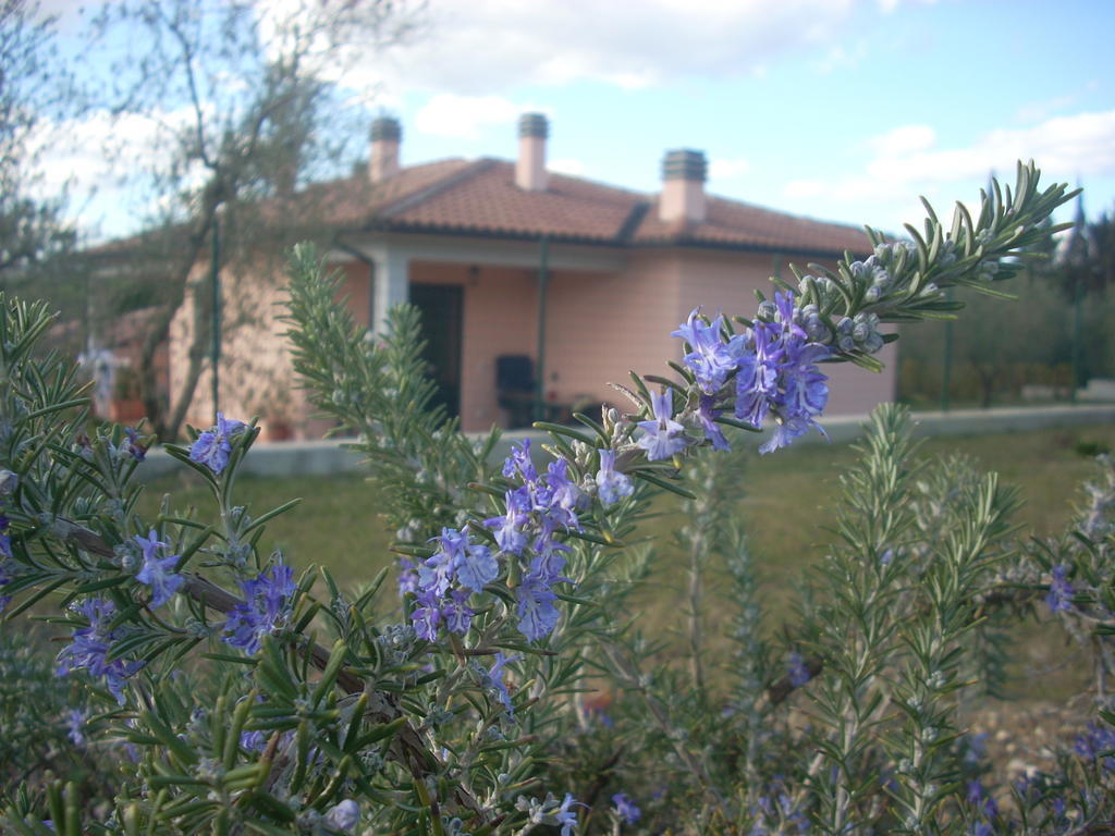 Residence Ai Campi Da Golf Saturnia Zimmer foto