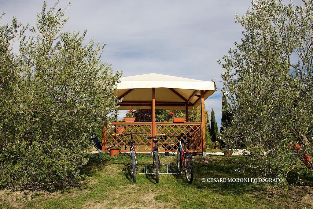 Residence Ai Campi Da Golf Saturnia Zimmer foto